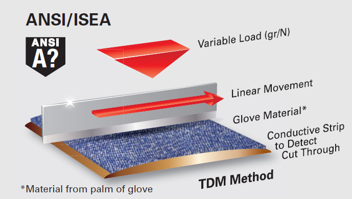 ANSI/ISEA